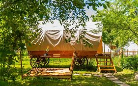 Dragonfly Gardens - The Wagons