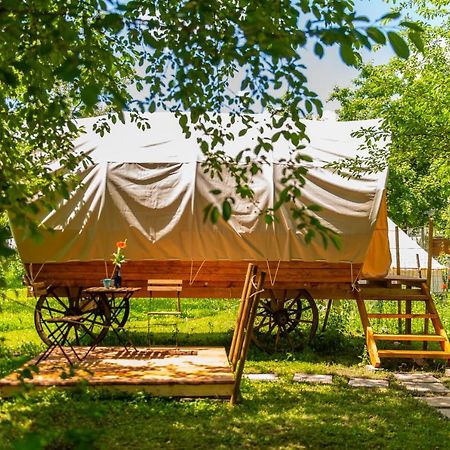 Hotel Dragonfly Gardens - The Wagons Braşov Exterior foto