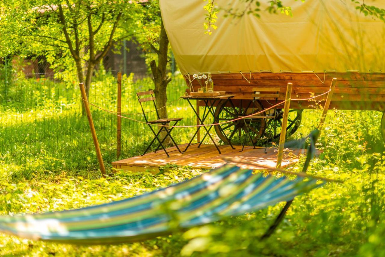 Hotel Dragonfly Gardens - The Wagons Braşov Exterior foto