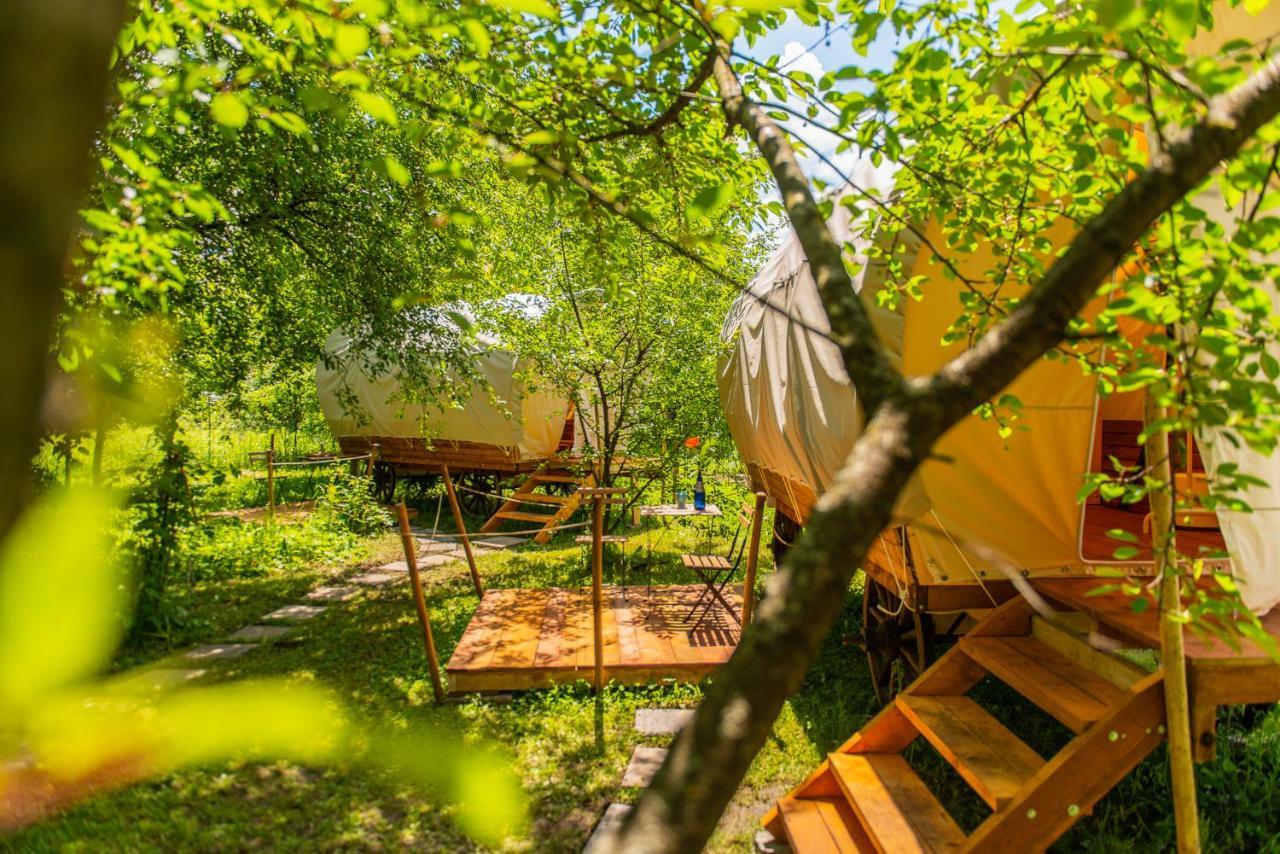 Hotel Dragonfly Gardens - The Wagons Braşov Exterior foto