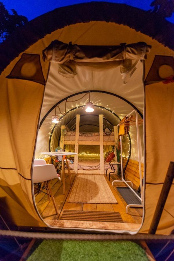 Hotel Dragonfly Gardens - The Wagons Braşov Exterior foto