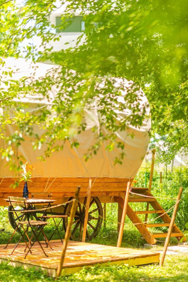 Hotel Dragonfly Gardens - The Wagons Braşov Exterior foto