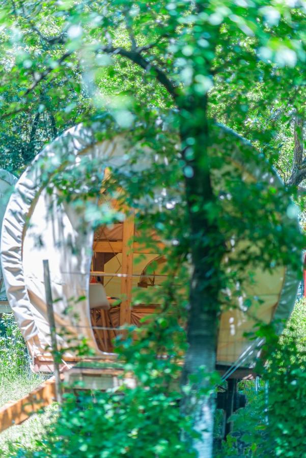 Hotel Dragonfly Gardens - The Wagons Braşov Exterior foto