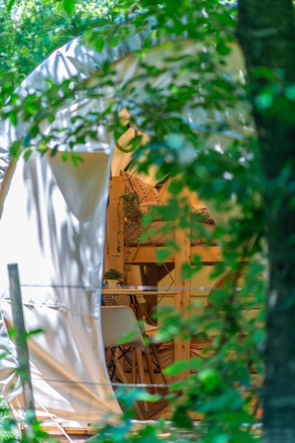 Hotel Dragonfly Gardens - The Wagons Braşov Exterior foto
