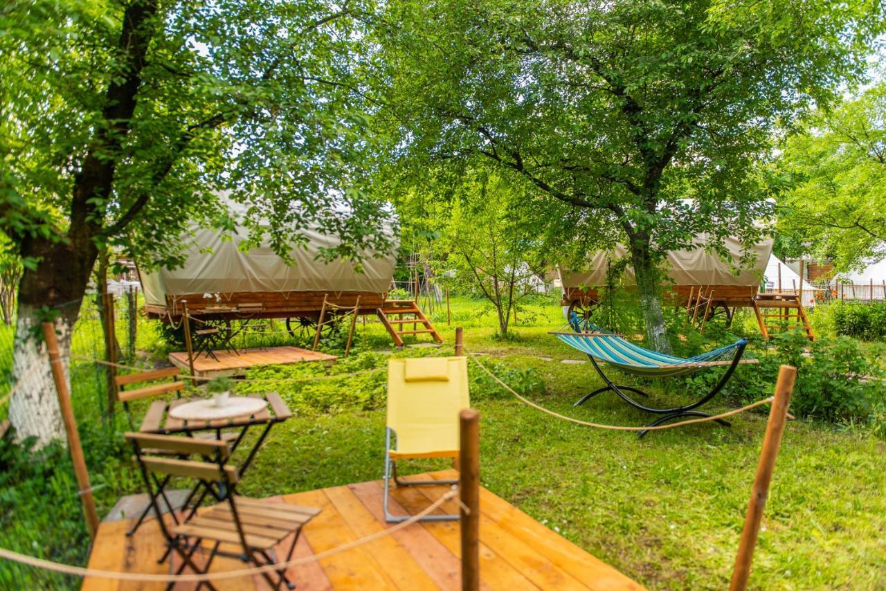 Hotel Dragonfly Gardens - The Wagons Braşov Exterior foto