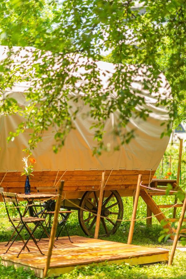 Hotel Dragonfly Gardens - The Wagons Braşov Exterior foto