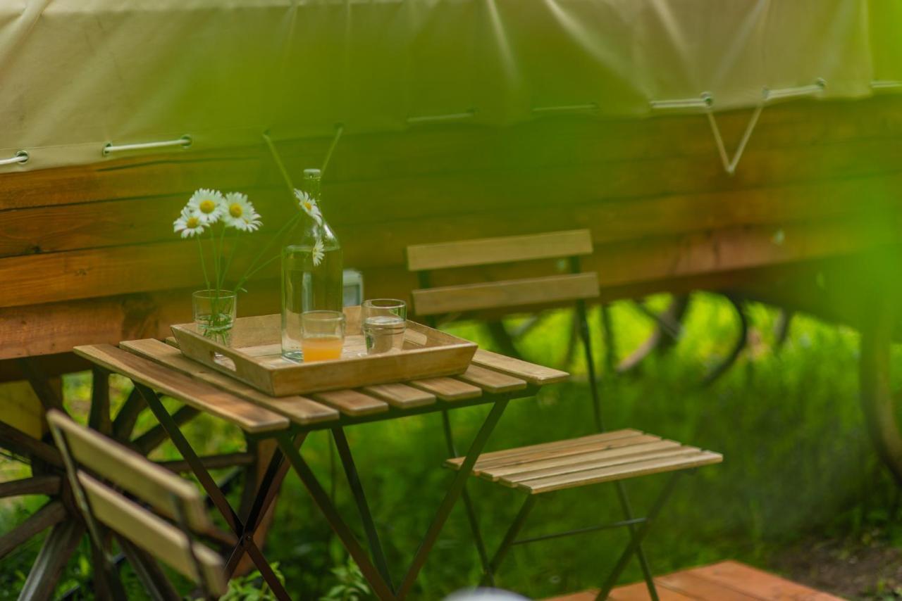 Hotel Dragonfly Gardens - The Wagons Braşov Exterior foto