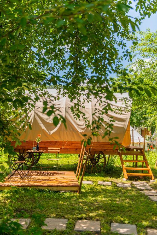 Hotel Dragonfly Gardens - The Wagons Braşov Exterior foto