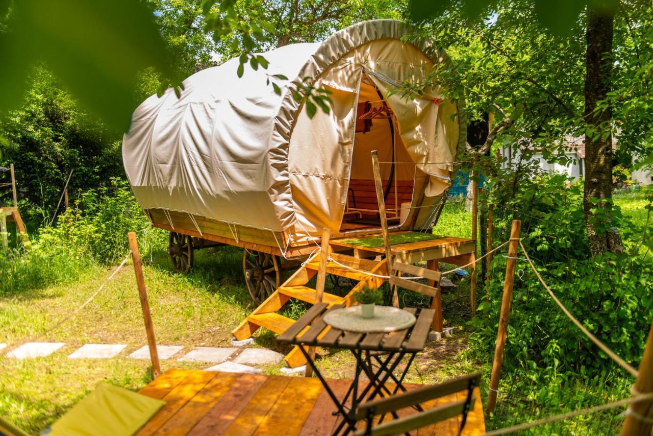 Hotel Dragonfly Gardens - The Wagons Braşov Exterior foto
