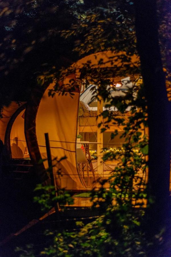 Hotel Dragonfly Gardens - The Wagons Braşov Exterior foto