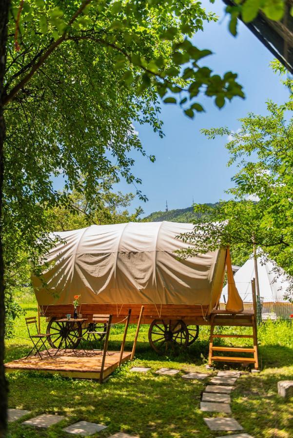 Hotel Dragonfly Gardens - The Wagons Braşov Exterior foto