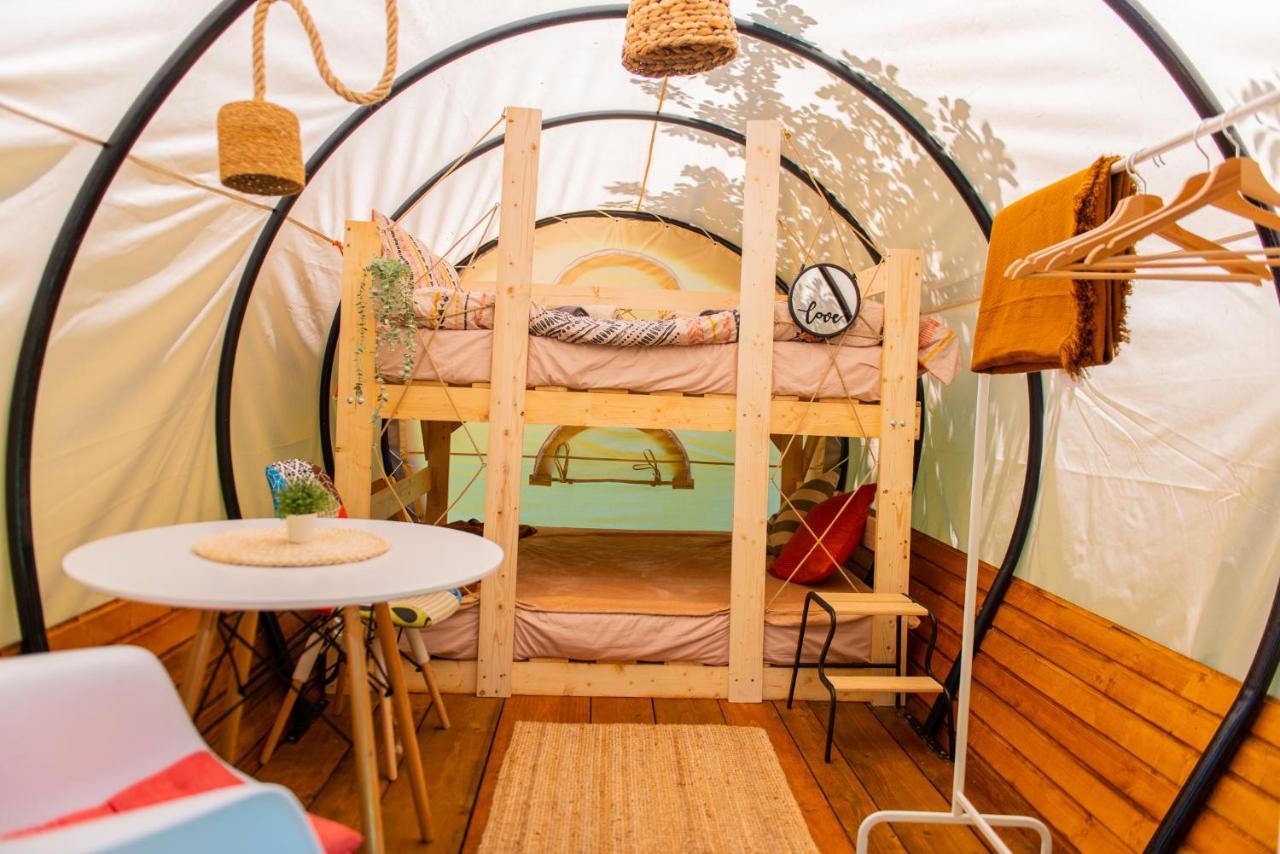 Hotel Dragonfly Gardens - The Wagons Braşov Exterior foto